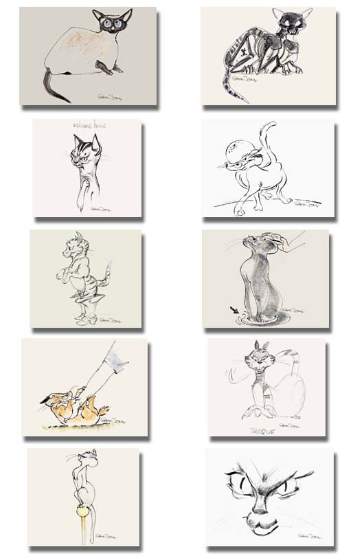 Cat Portfolio