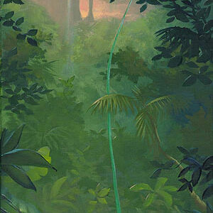 Carl’s New Adventure