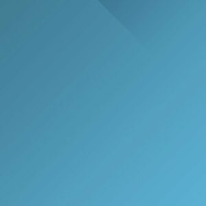 Minimalist-Bird-Seed-Trap