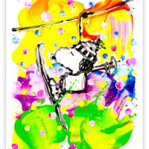 Mr Slippery Slope Everhart