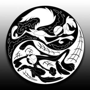 Two Sides Of The Same