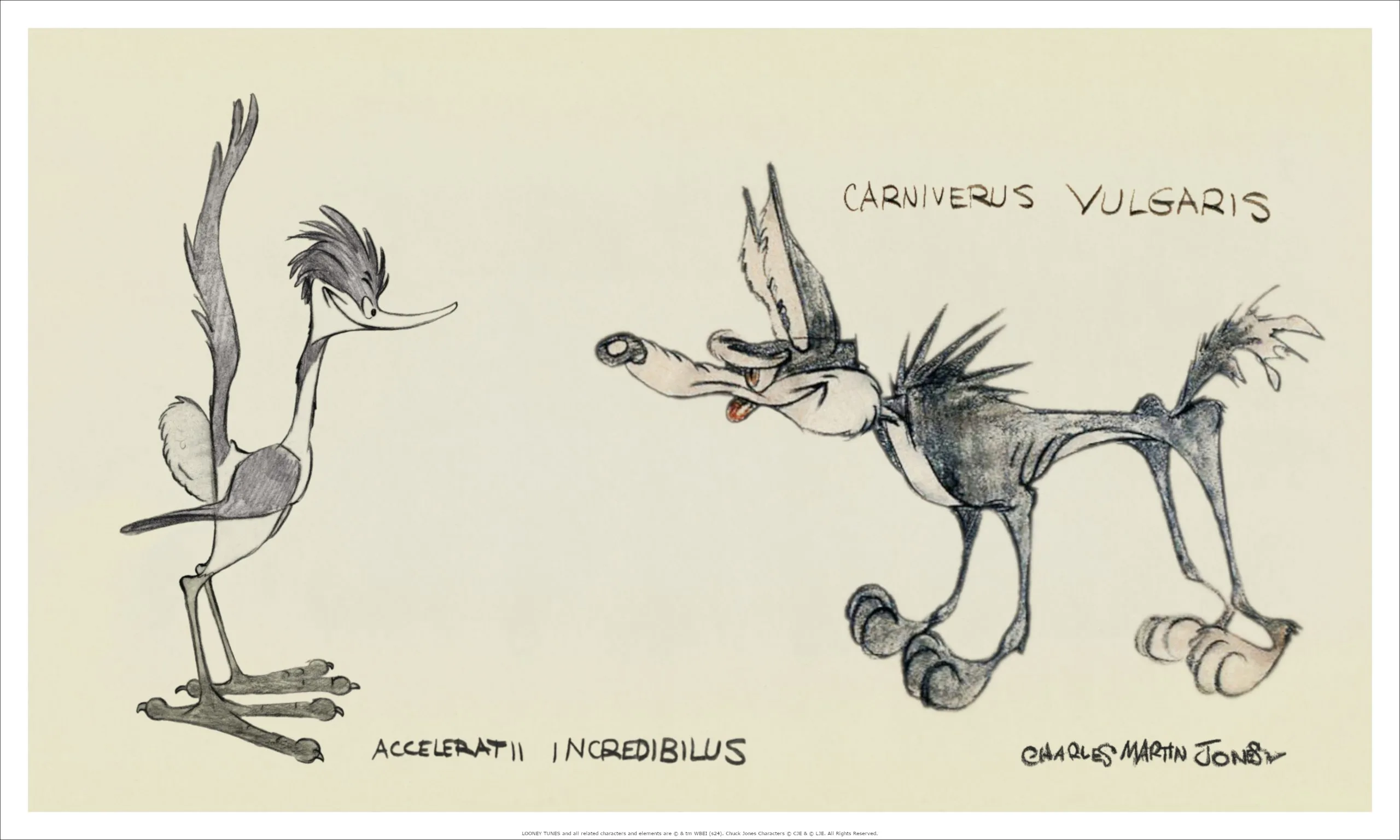 お笑い・バラエティ paperrunner sweet7 gdh takeoff lens Wile E. Coyote & Road Runner – Limited Edition Artwork