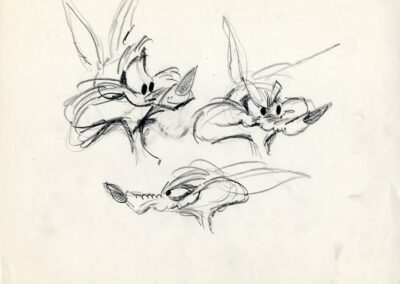 Wile E Coyote Faces Sketch