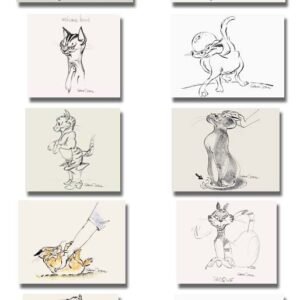 Cat Portfolio